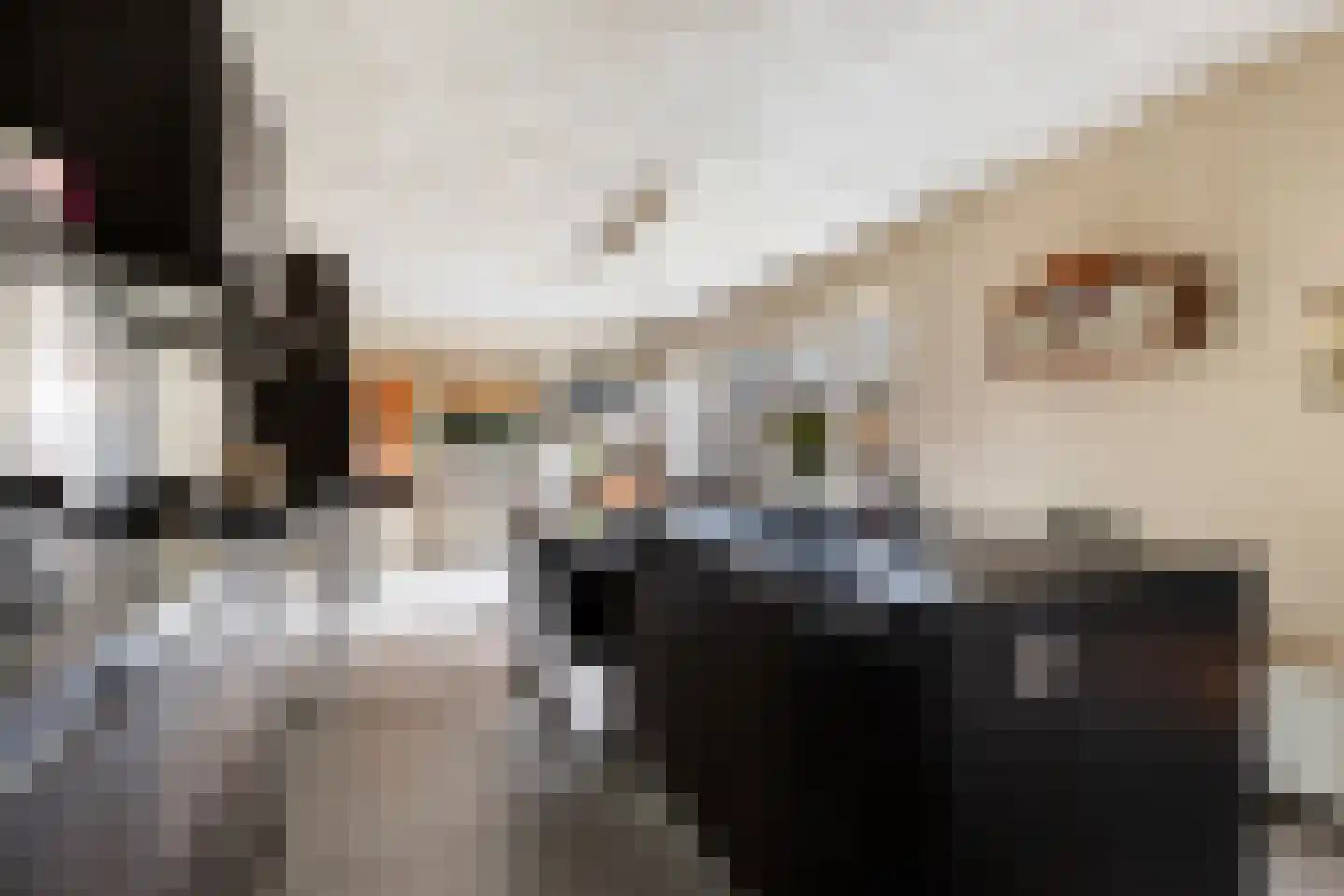 Uilvlinder 22 Amersfoort thumbnail 14