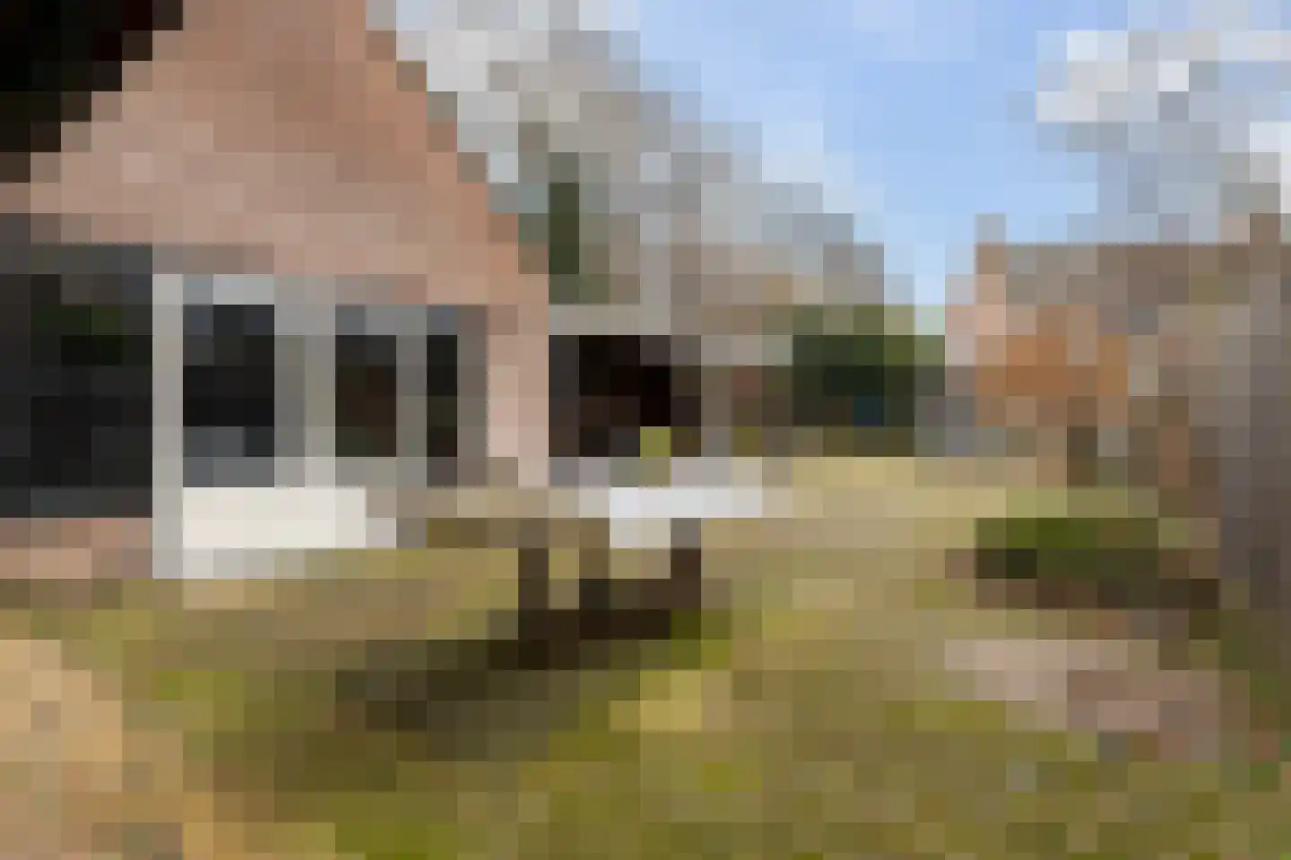 Uilvlinder 22 Amersfoort thumbnail 17
