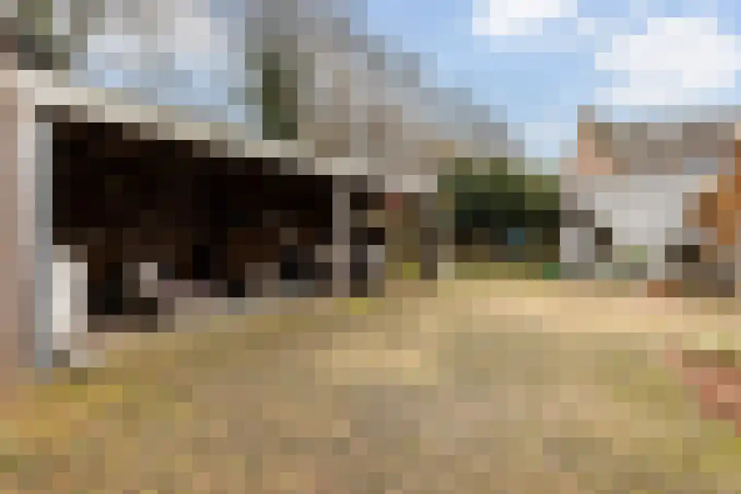 Uilvlinder 22 Amersfoort thumbnail 18