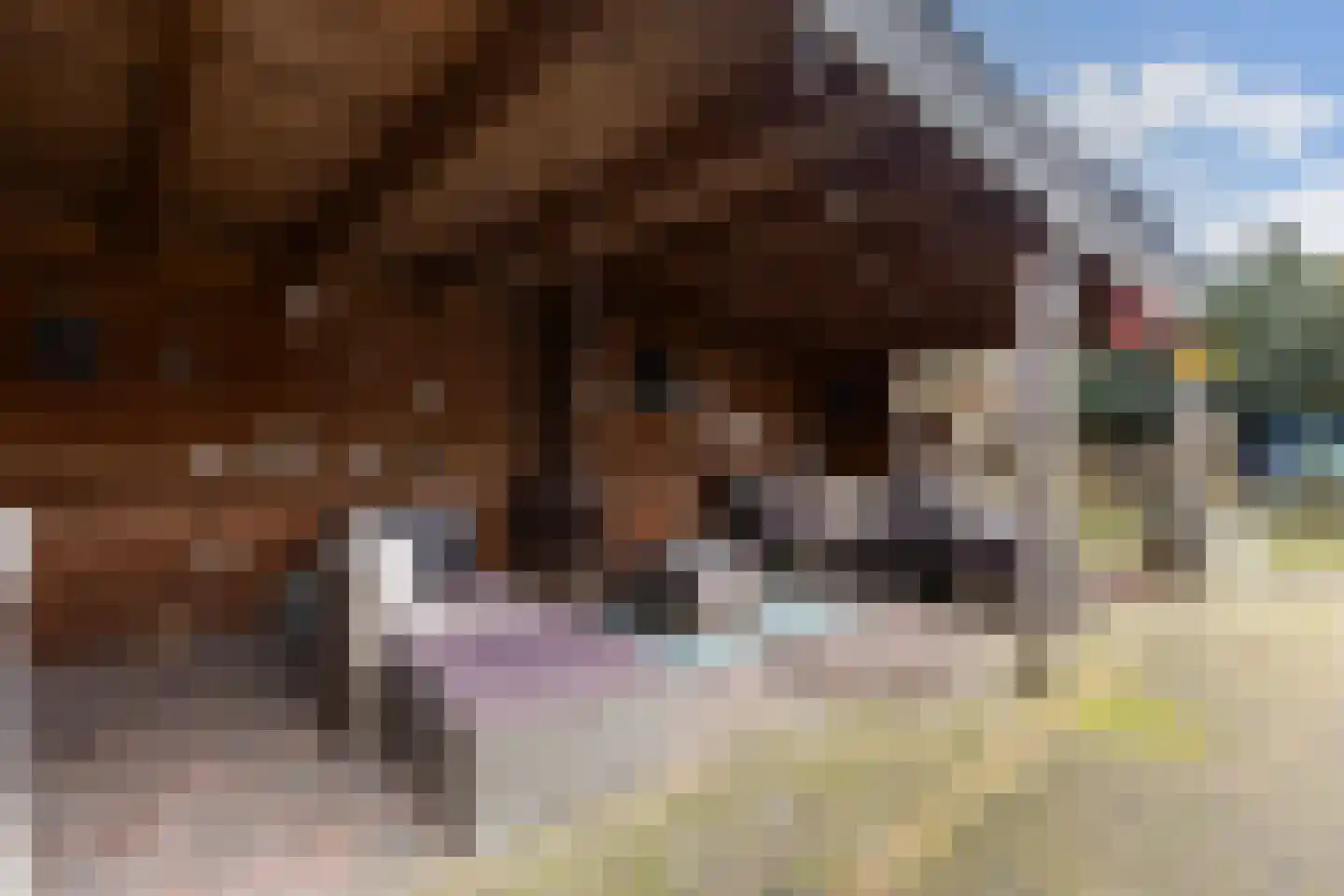 Uilvlinder 22 Amersfoort thumbnail 19