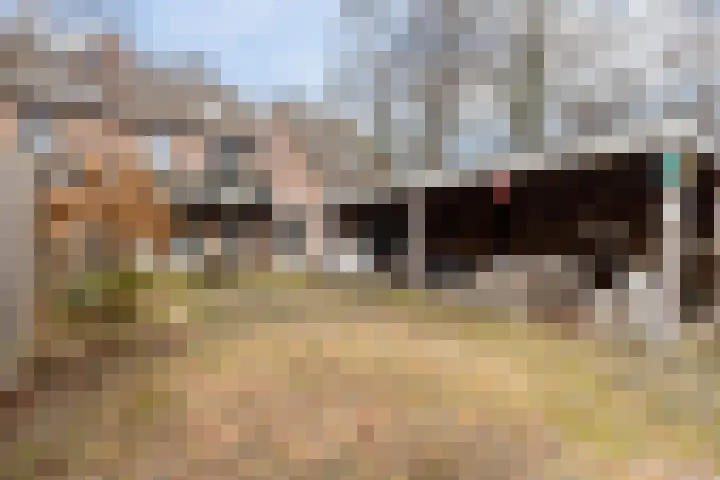 Uilvlinder 22 Amersfoort thumbnail 20