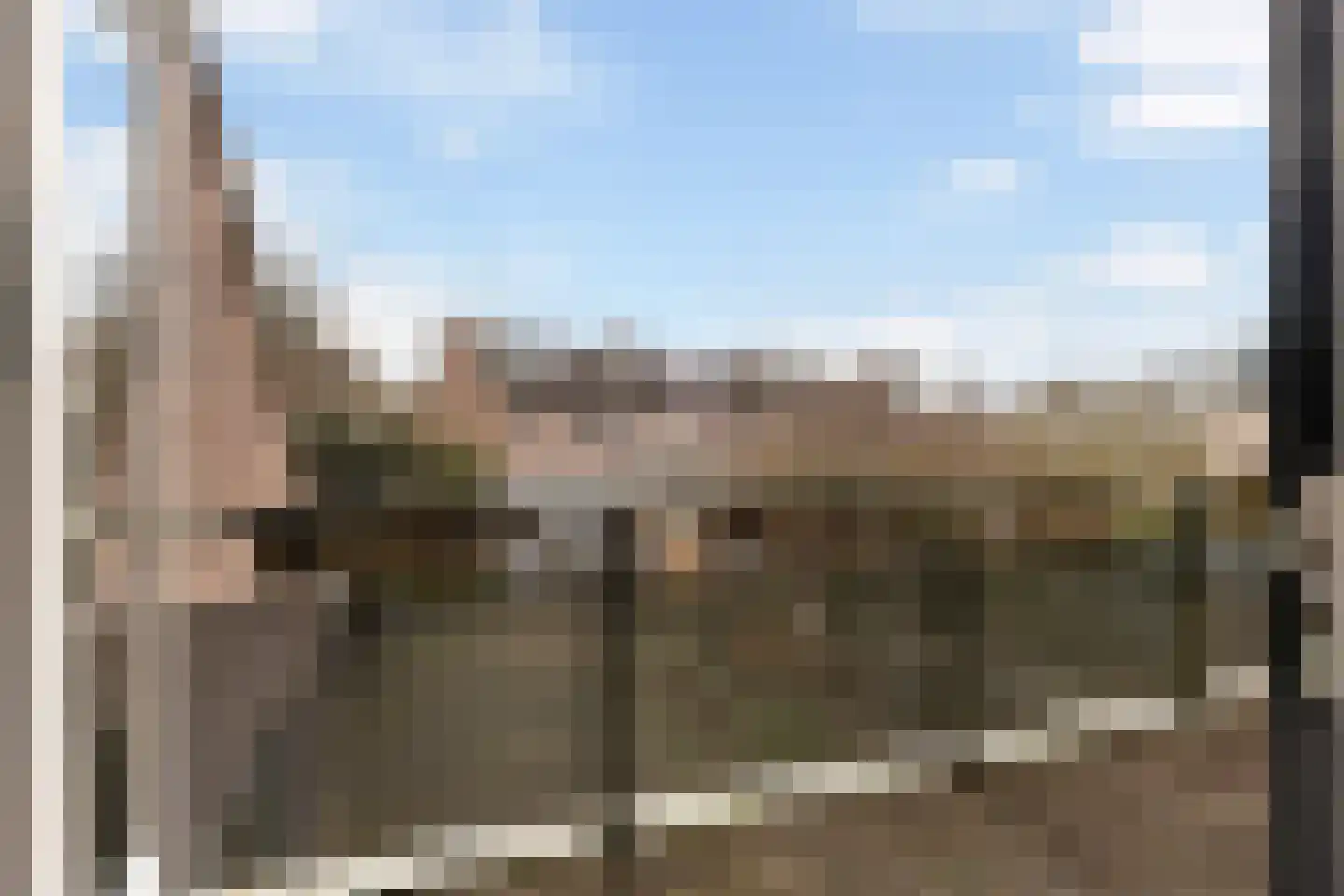 Uilvlinder 22 Amersfoort thumbnail 25
