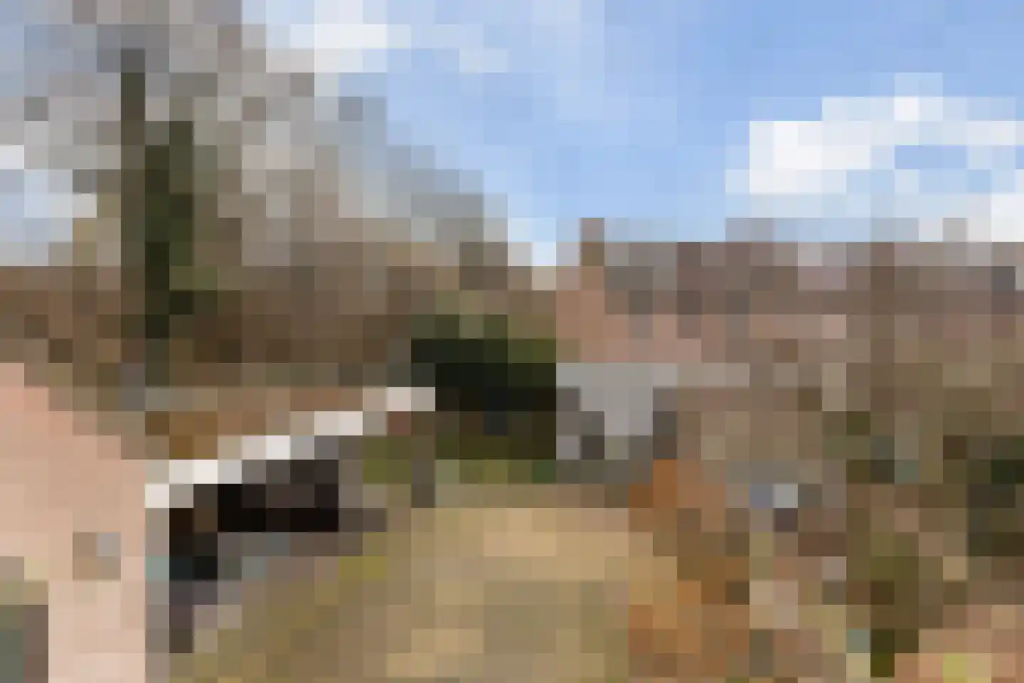 Uilvlinder 22 Amersfoort thumbnail 26