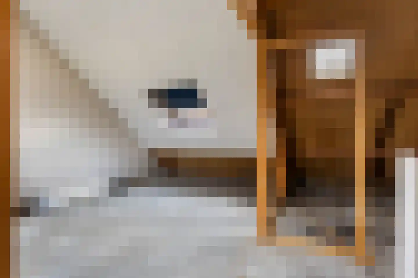 Uilvlinder 22 Amersfoort thumbnail 33