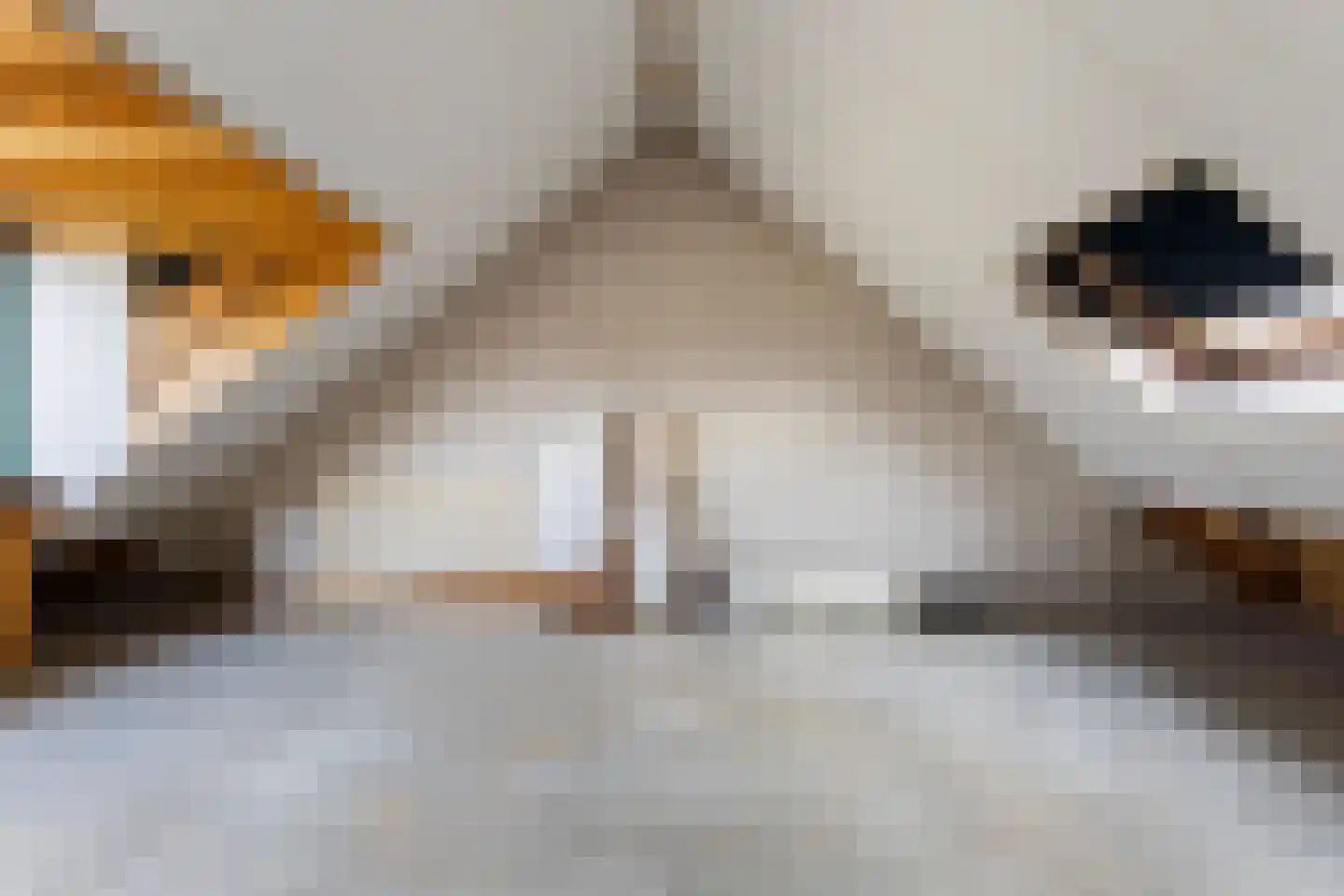 Uilvlinder 22 Amersfoort thumbnail 34