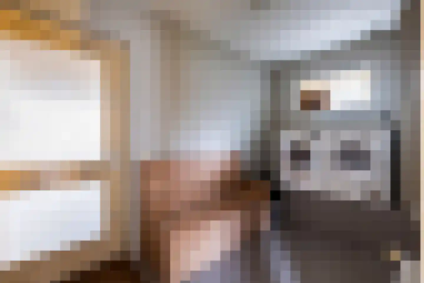 Uilvlinder 22 Amersfoort thumbnail 35