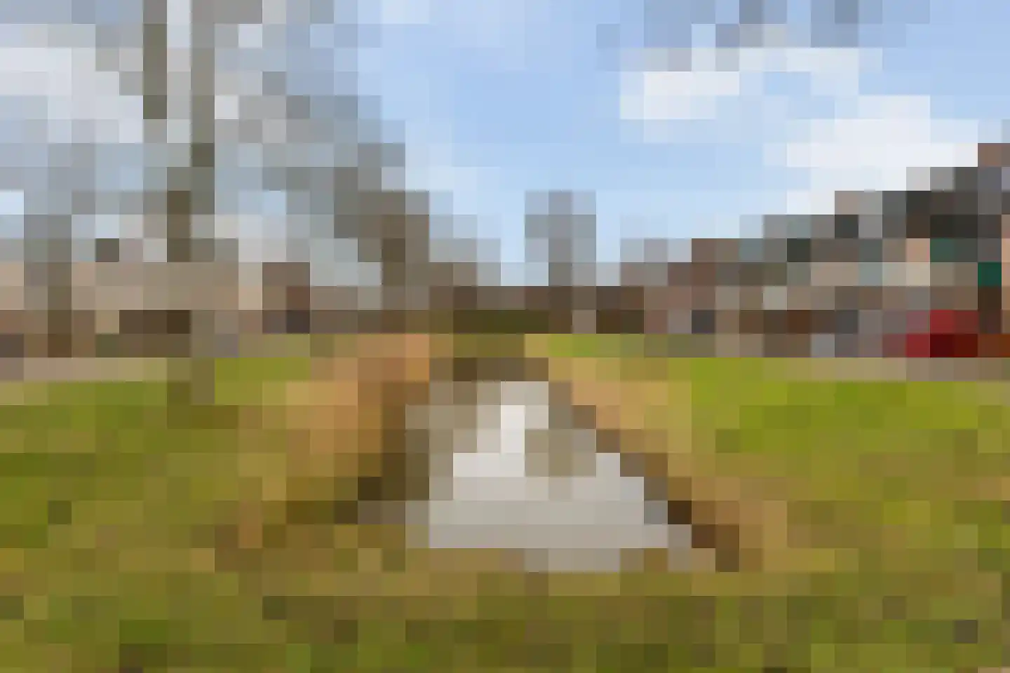 Uilvlinder 22 Amersfoort thumbnail 37