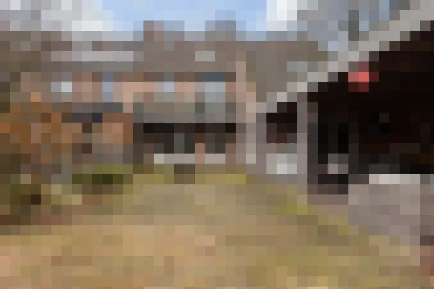 Uilvlinder 22 Amersfoort thumbnail 5