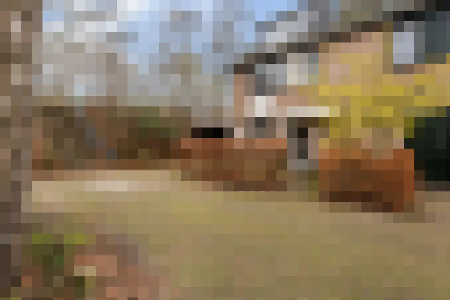 Uilvlinder 22 Amersfoort thumbnail 6
