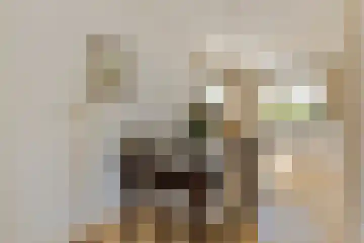 Uilvlinder 25 Enschede thumbnail 12