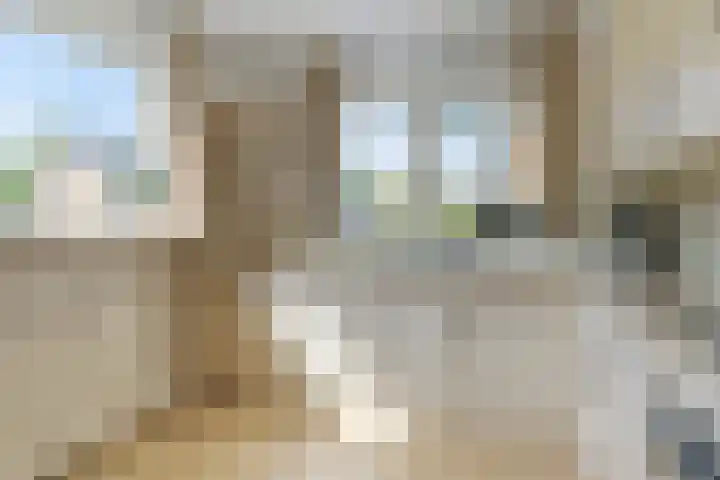 Uilvlinder 25 Enschede thumbnail 14