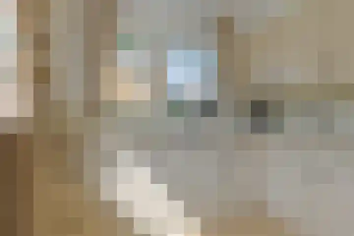 Uilvlinder 25 Enschede thumbnail 15