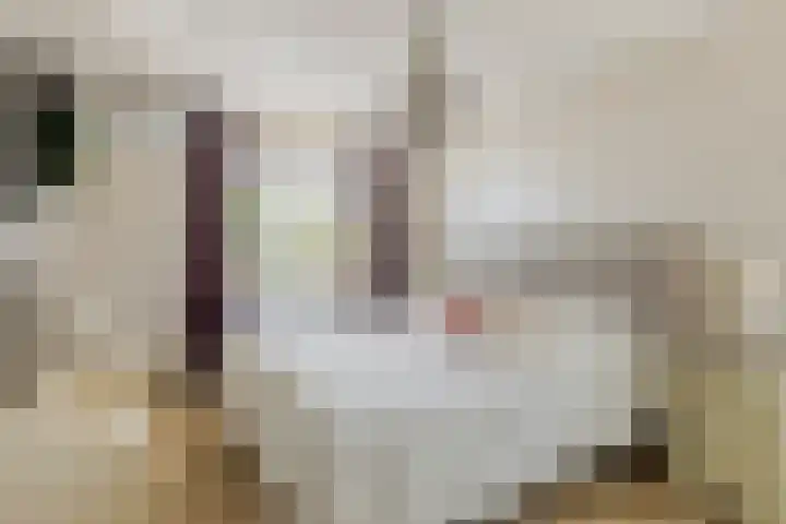 Uilvlinder 25 Enschede thumbnail 19