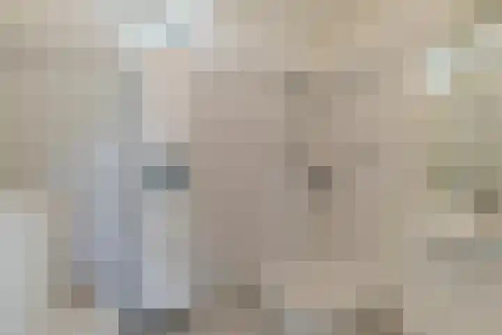 Uilvlinder 25 Enschede thumbnail 21