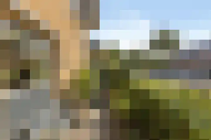 Uilvlinder 25 Enschede thumbnail 33