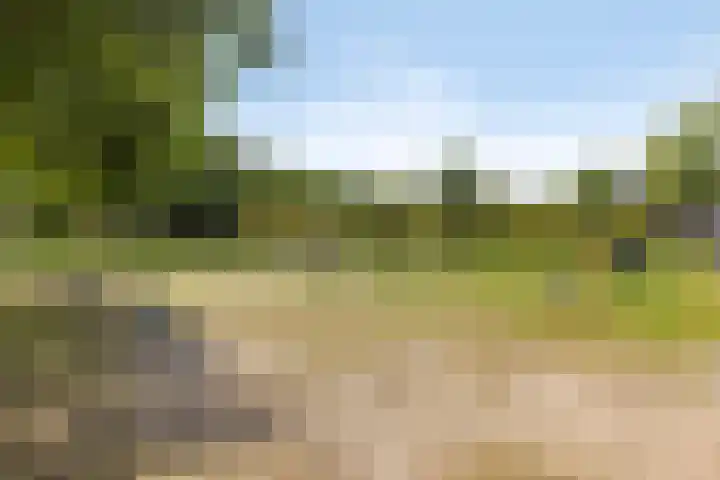 Uilvlinder 25 Enschede thumbnail 37