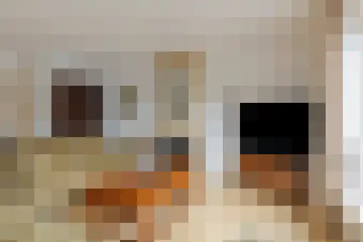 Uilvlinder 25 Enschede thumbnail 7