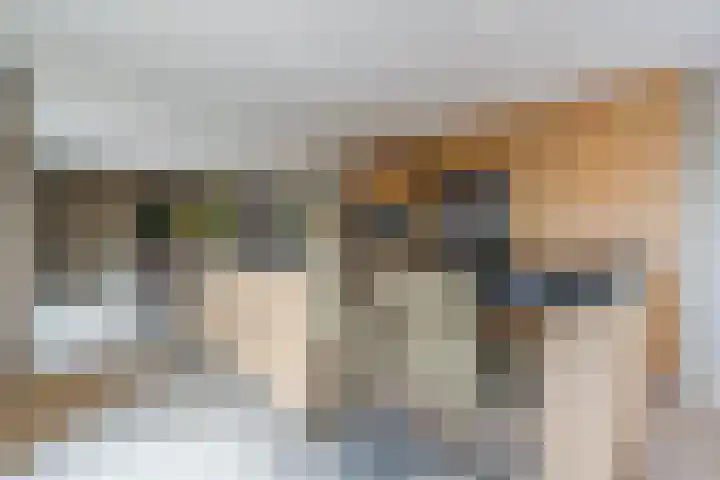 Uilweg 6 Mill thumbnail 18
