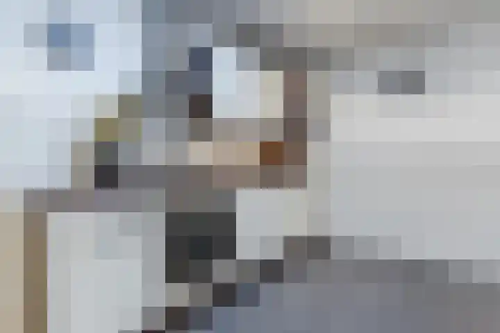 Uilweg 6 Mill thumbnail 22