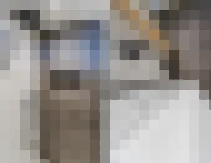 Uilweg 6 Mill thumbnail 28