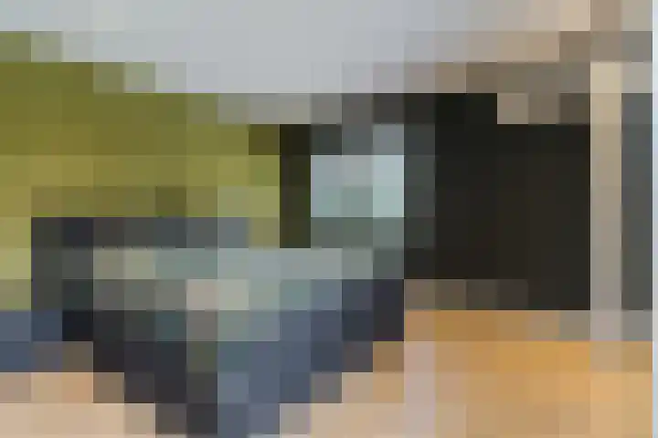 Uilweg 6 Mill thumbnail 29