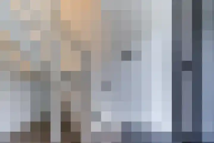 Uilweg 6 Mill thumbnail 31