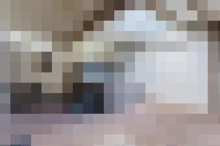 Uilweg 6 Mill thumbnail 42