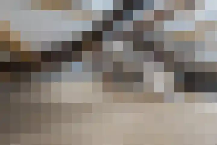Uilweg 6 Mill thumbnail 49