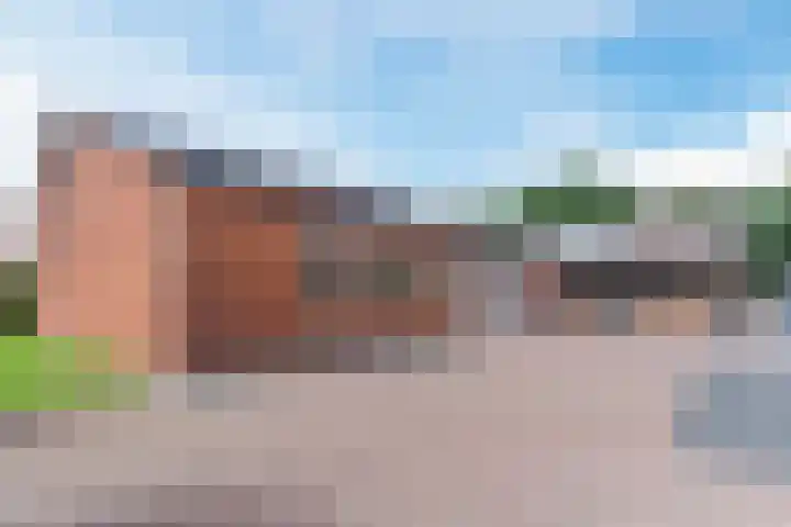 Uilweg 6 Mill thumbnail 51