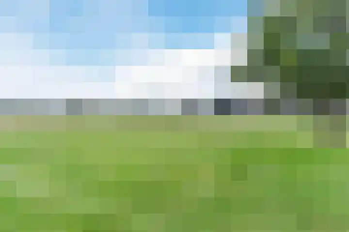 Uilweg 6 Mill thumbnail 52