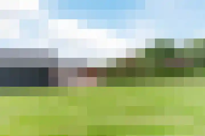 Uilweg 6 Mill thumbnail 53