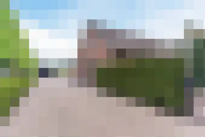 Uilweg 6 Mill thumbnail 54