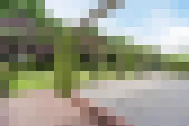 Uilweg 6 Mill thumbnail 55