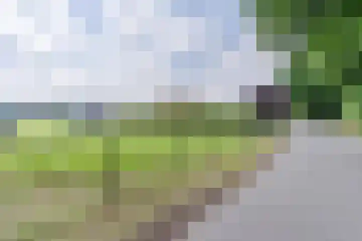 Uilweg 6 Mill thumbnail 56