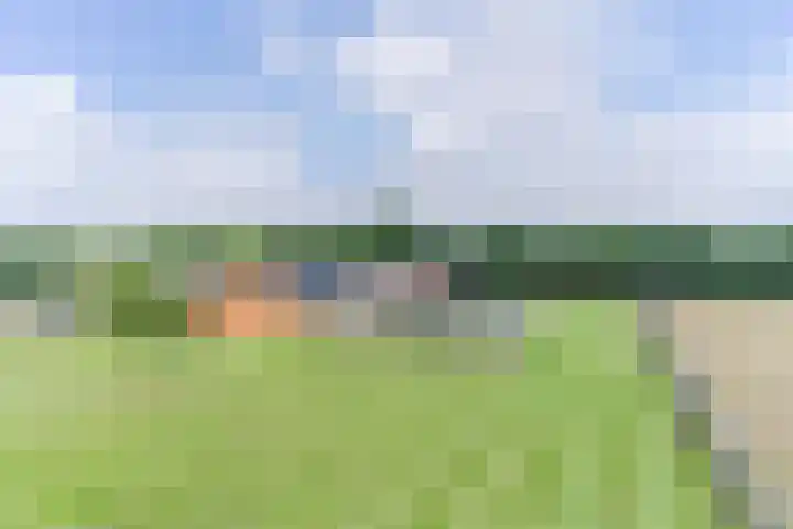 Uilweg 6 Mill thumbnail 57