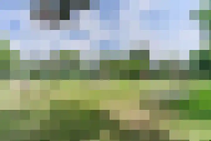 Uilweg 6 Mill thumbnail 58