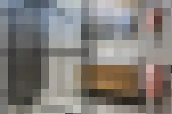 Uilweg 6 Mill thumbnail 6