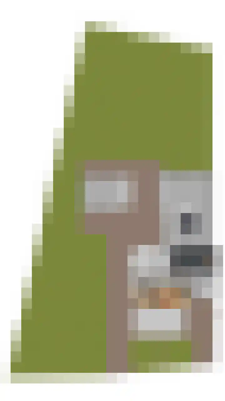 Uilweg 6 Mill thumbnail 62