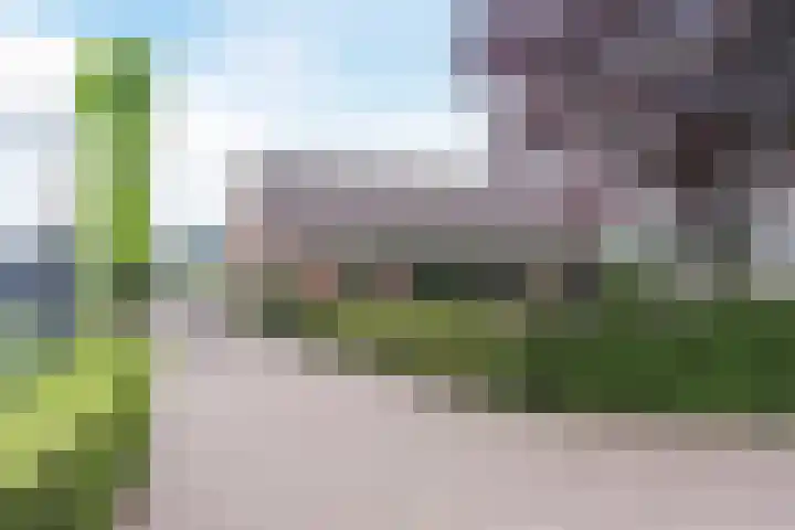 Uilweg 6 Mill thumbnail 65