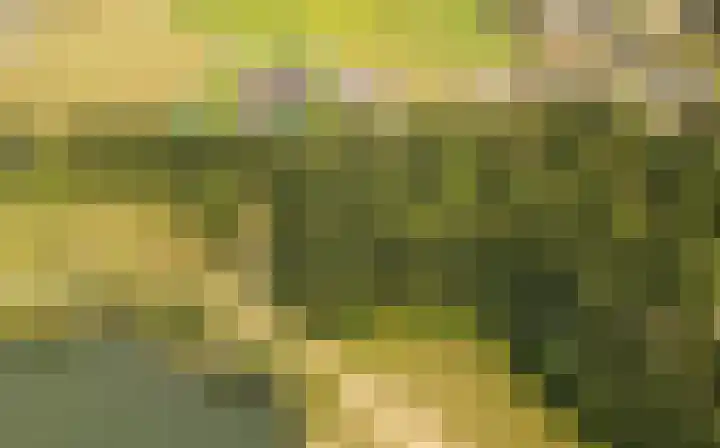 Uilweg 6 Mill thumbnail 7