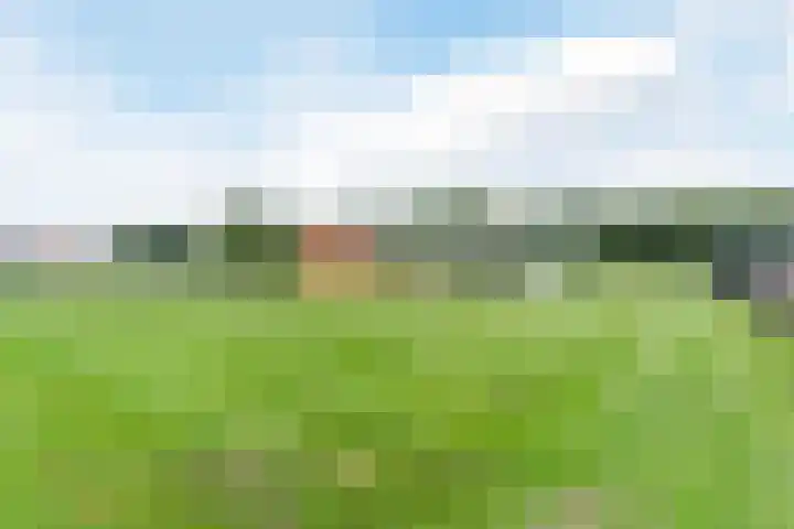 Uilweg 6 Mill thumbnail 8