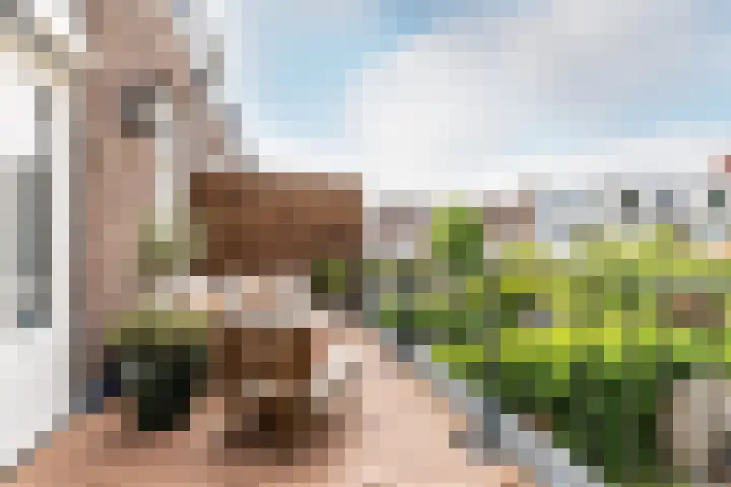 Uit den Bosstraat 16 Haarlem thumbnail 23