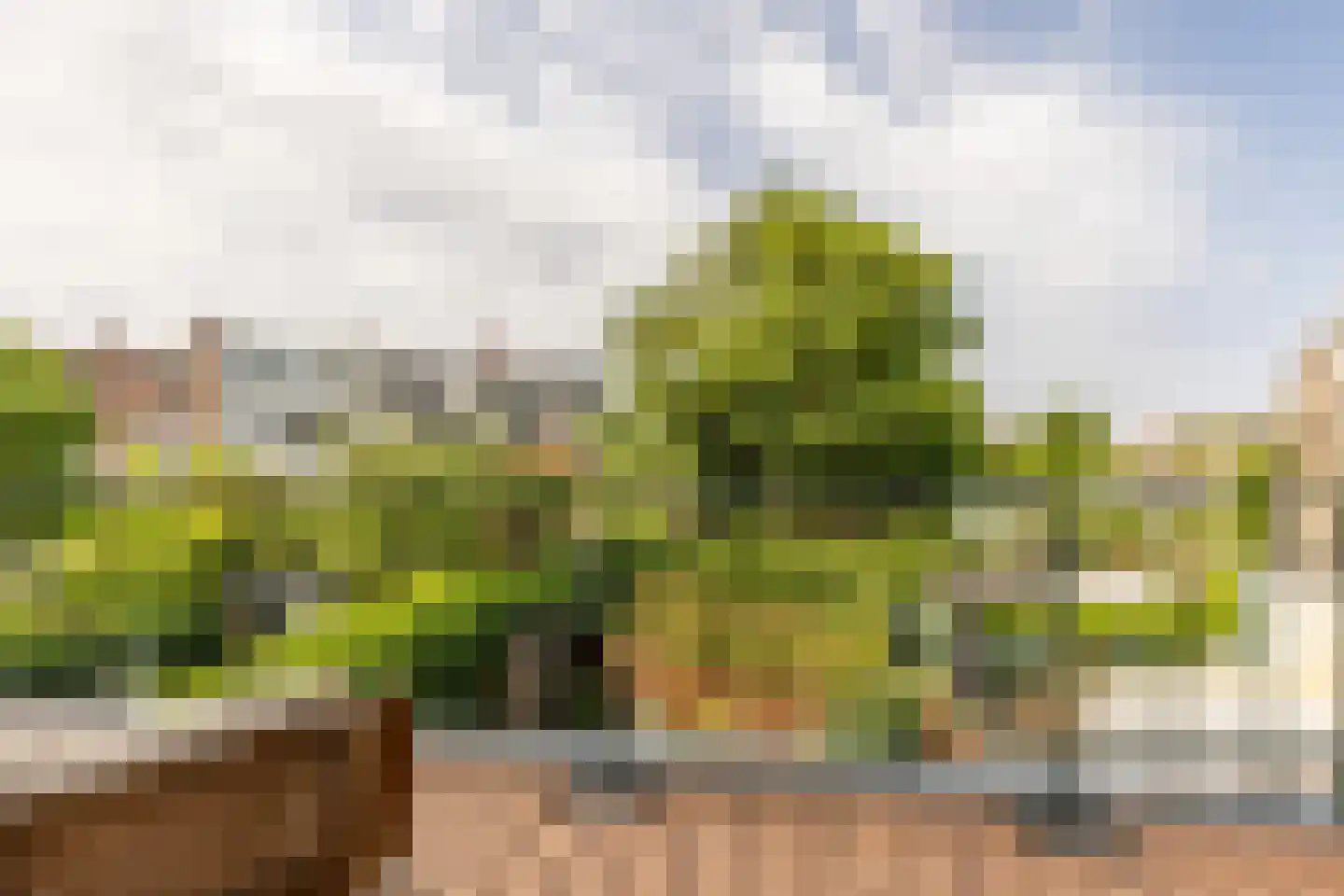 Uit den Bosstraat 16 Haarlem thumbnail 24
