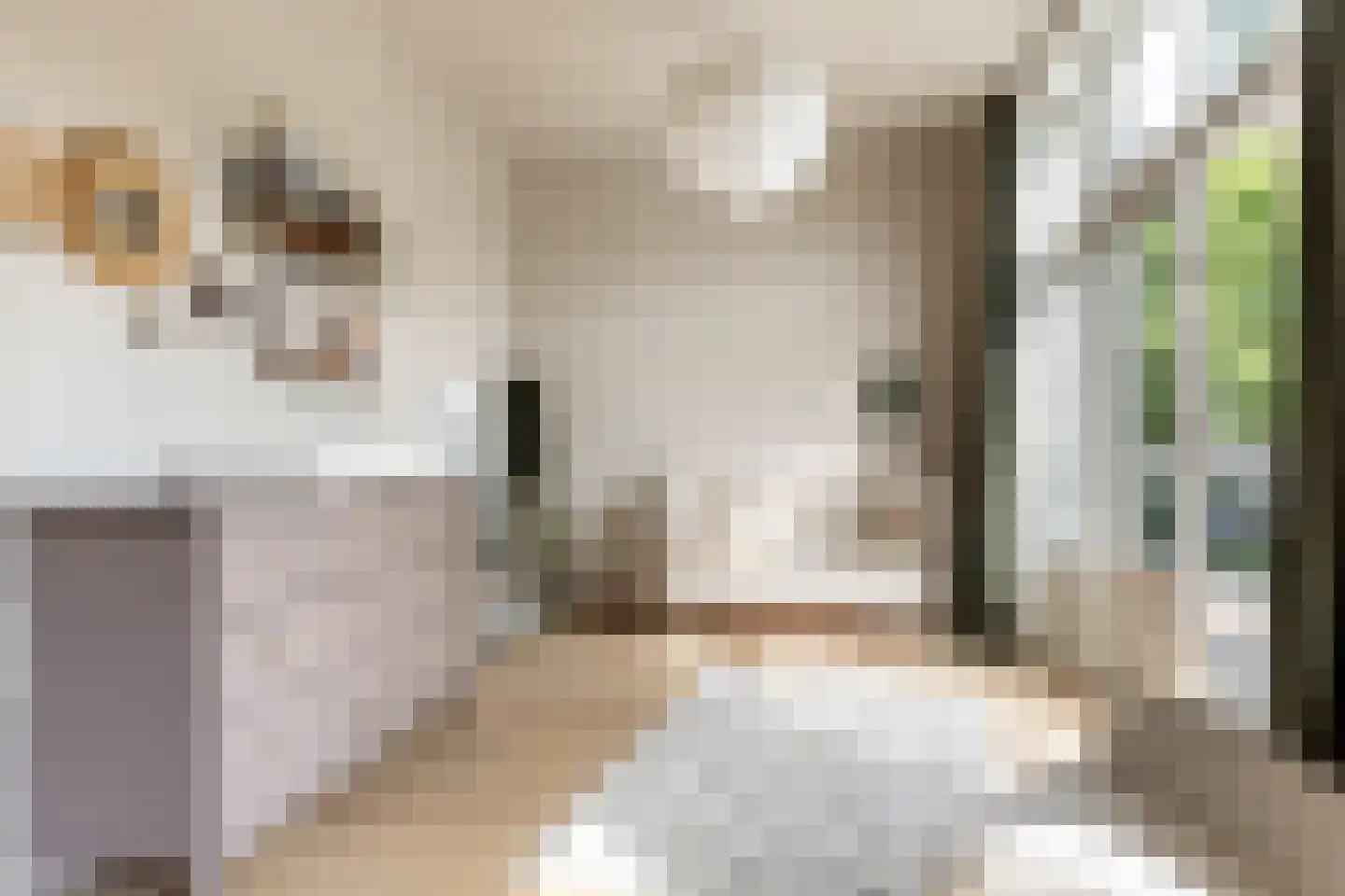 Uit den Bosstraat 16 Haarlem thumbnail 26