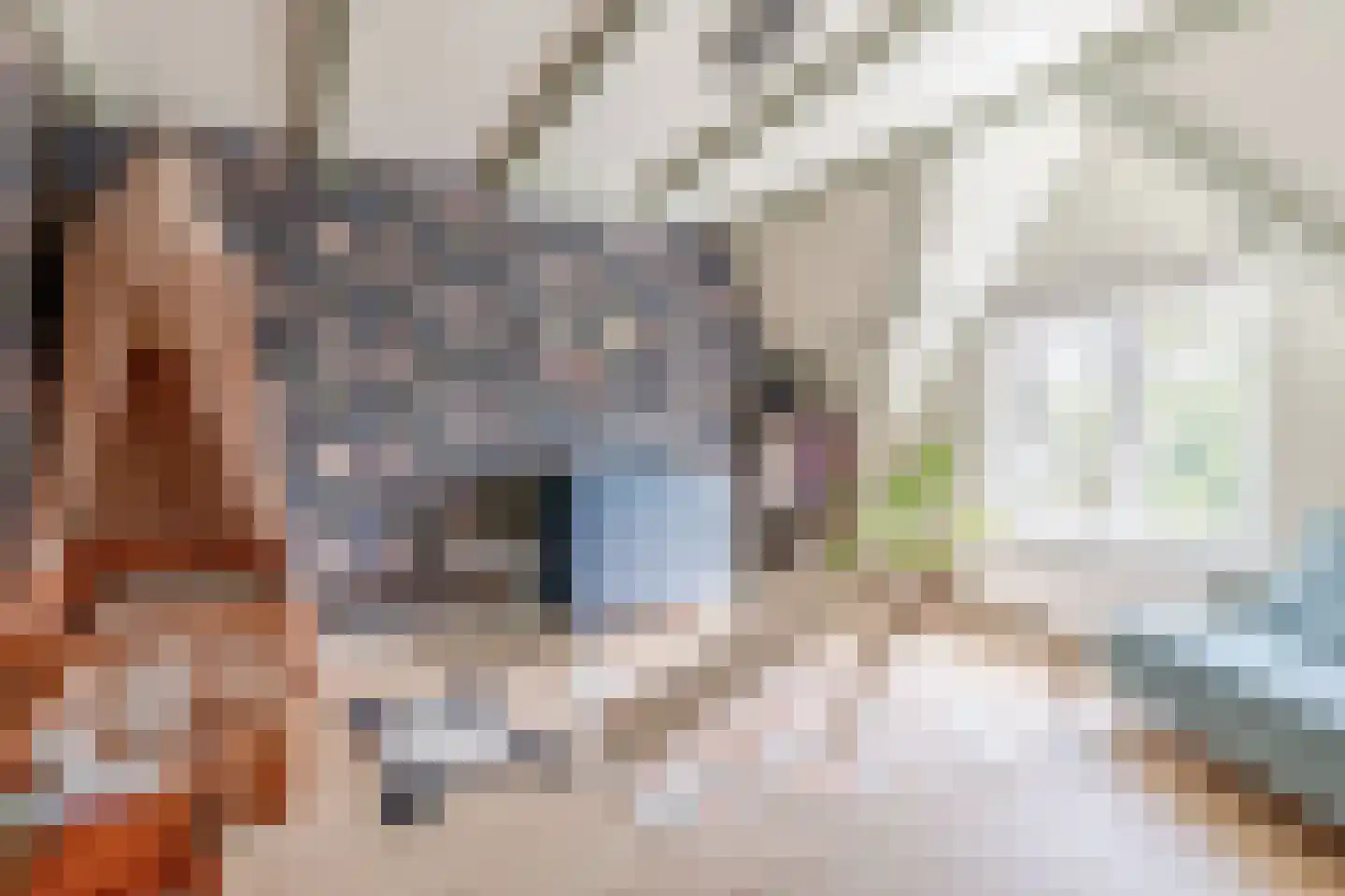 Uit den Bosstraat 16 Haarlem thumbnail 30