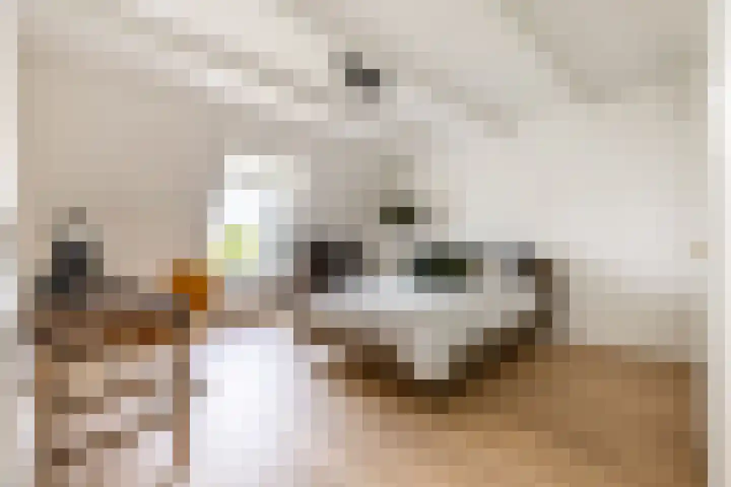 Uit den Bosstraat 16 Haarlem thumbnail 32
