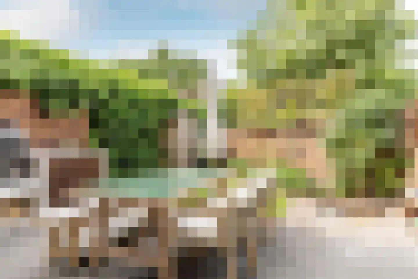 Uit den Bosstraat 16 Haarlem thumbnail 37