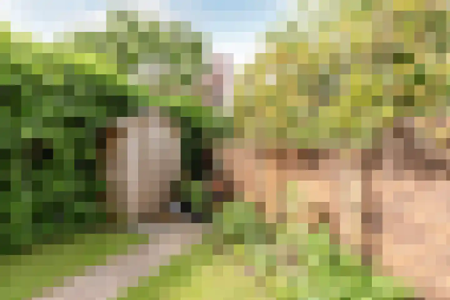 Uit den Bosstraat 16 Haarlem thumbnail 39