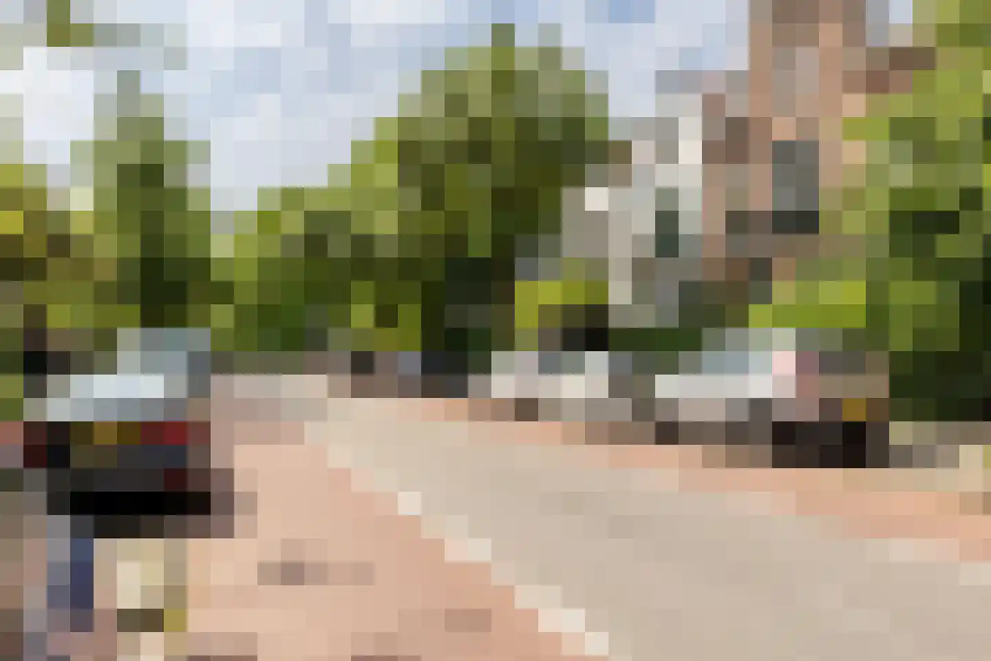 Uit den Bosstraat 16 Haarlem thumbnail 43