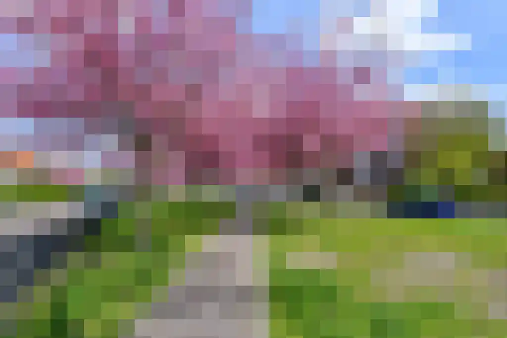 Uit den Bosstraat 16 Haarlem thumbnail 44